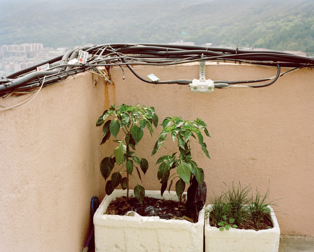 좌천아파트, 2012,  52