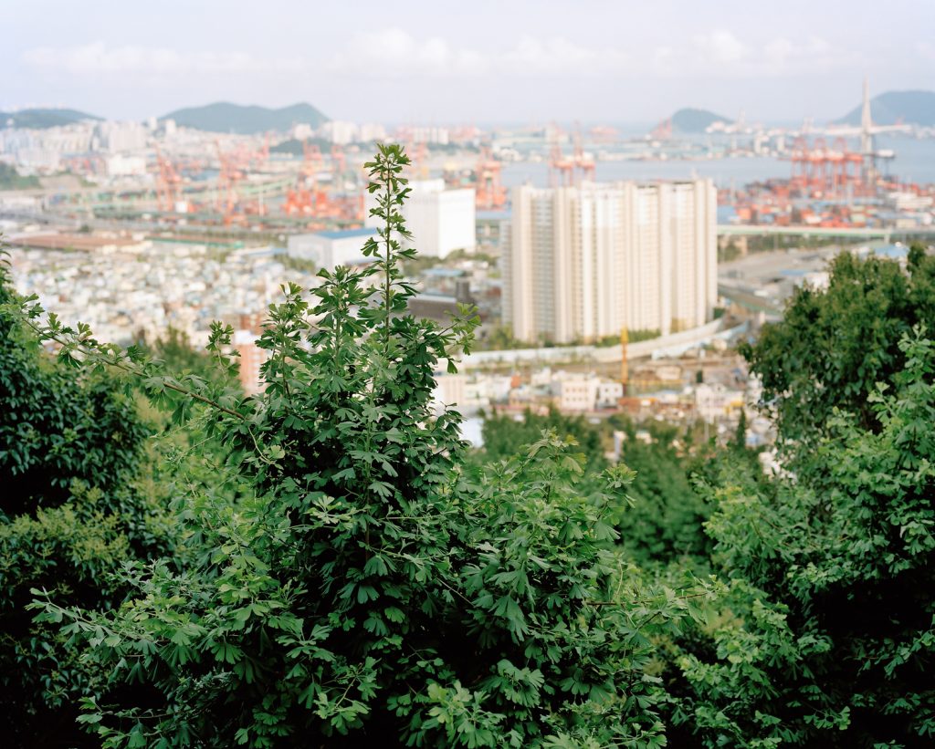 좌천아파트, 2012,  8