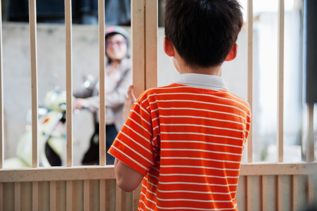 초청장고향, 레이옌, 베트남, 2012,13