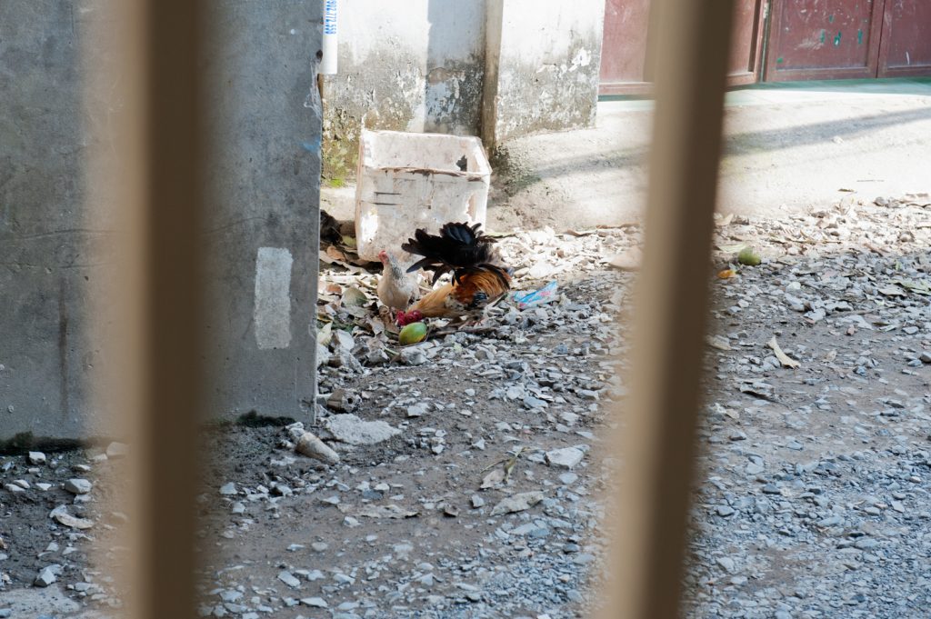 초청장고향, 레이옌, 베트남, 2012,17