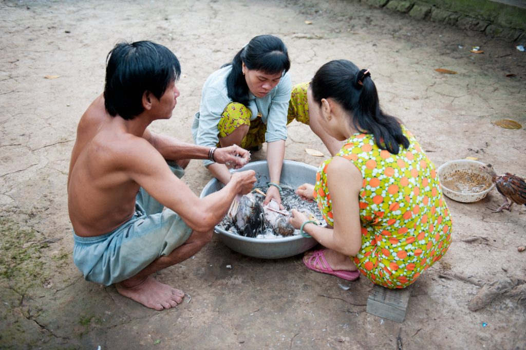 초청장 고향, 보티투, 베트남, 2011, 23