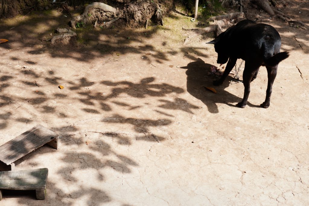 초청장 고향, 보티투, 베트남, 2011, 24