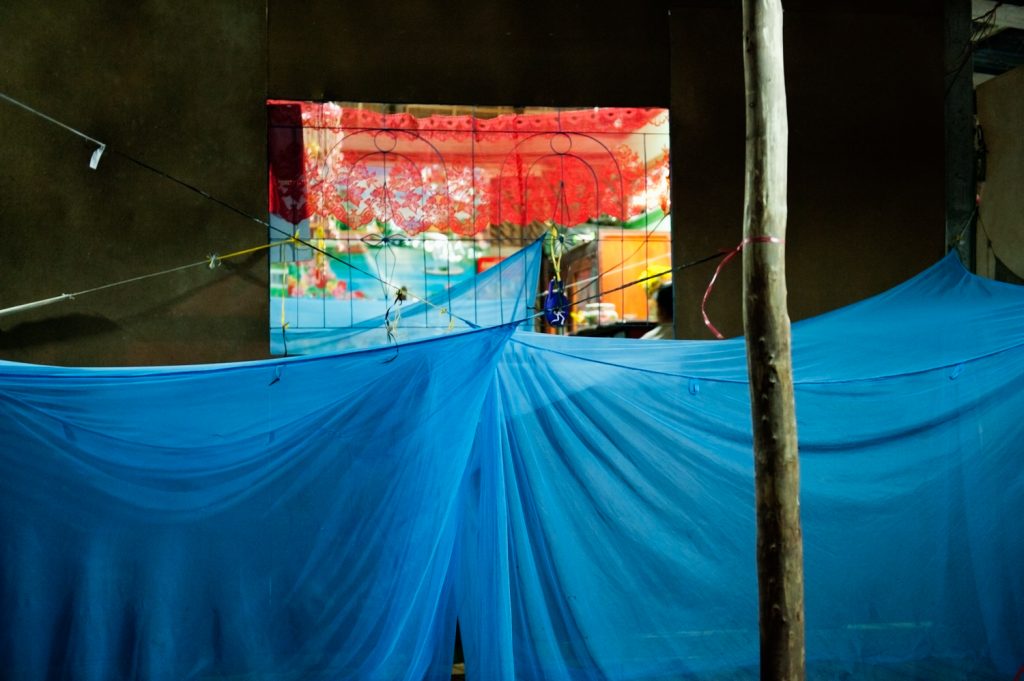 초청장 고향, 보티투, 베트남, 2011, 29