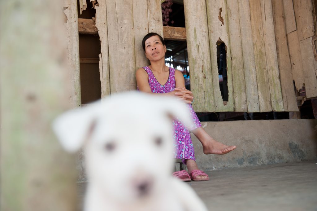 초청장 고향, 보티투, 베트남, 2011, 37