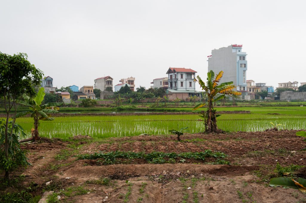 초청장 고향, 황설아, 베트남, 2012, 7