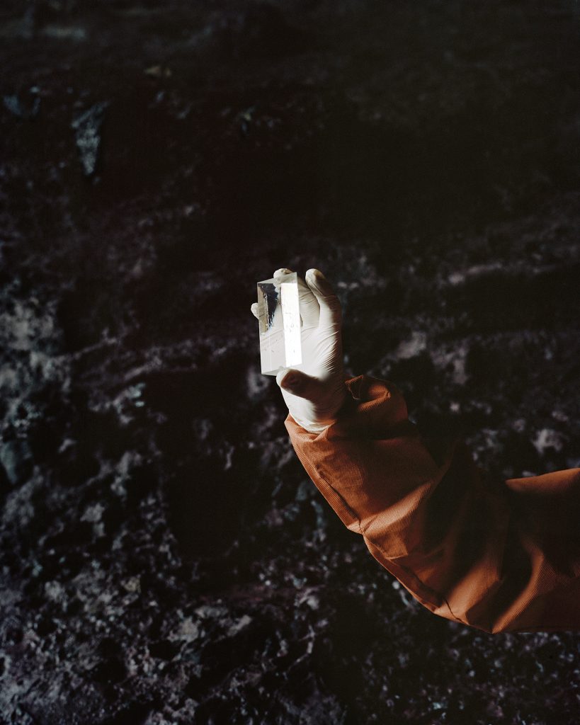 필드:트립 Field:Trip, Specimen Type 01, 2018, Digital pigment print, 60x75cm