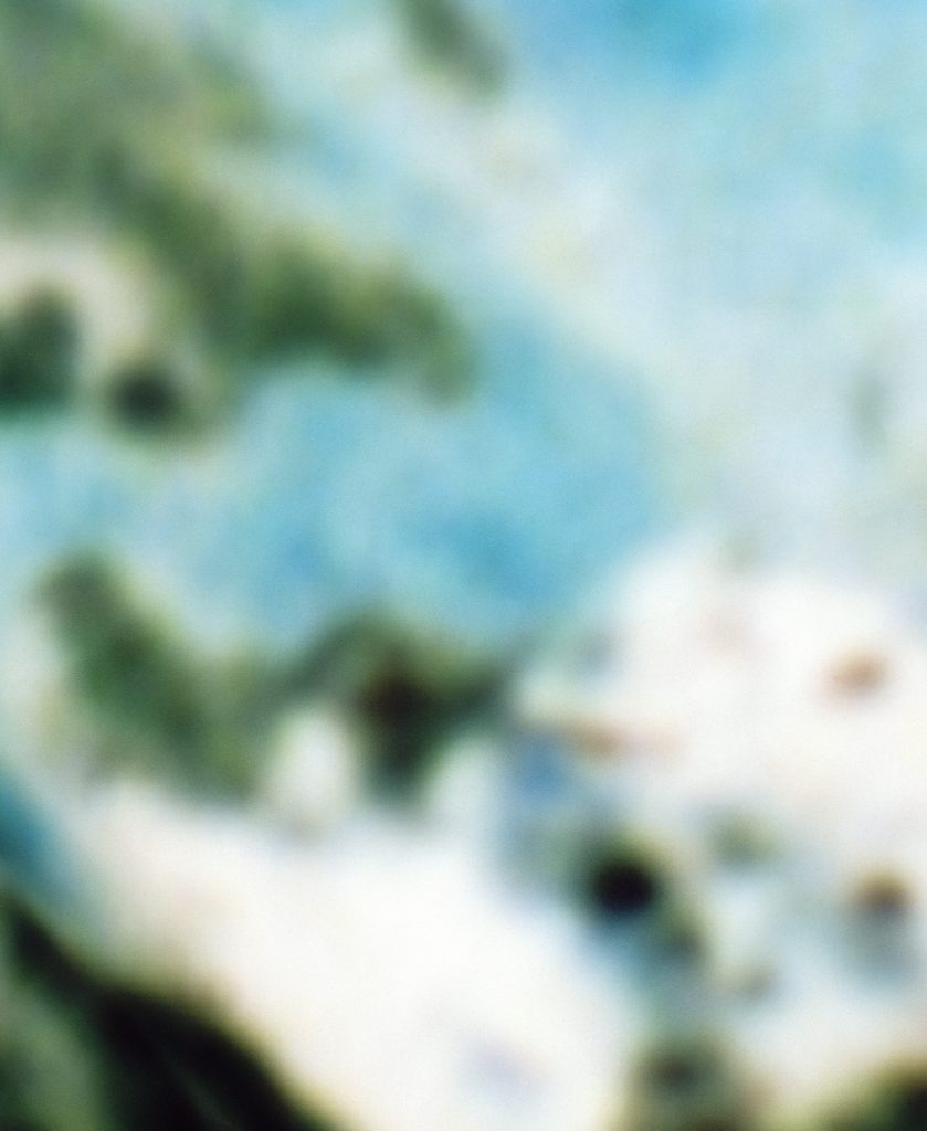 필드:트립 Field:Trip, Surface Type 02 Display, 2019, Digital pigment print, 41x50cm