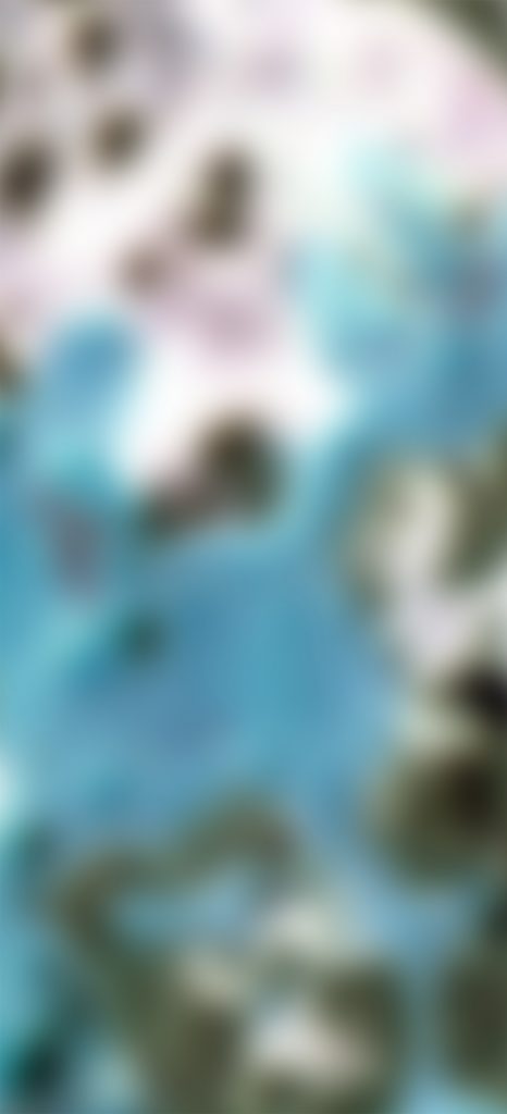 필드:트립 Field:Trip, Surface Type 04, 2018, Digital pigment print, 50x110cm