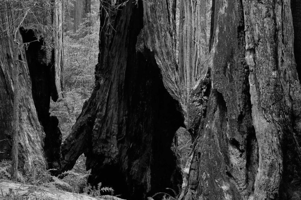 My-10, 60x90 cm, Digital Archival Pigment Print, 2015