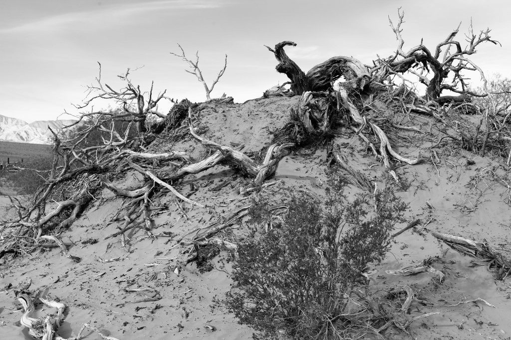 My-12, 60x90 cm, Digital Archival Pigment Print, 2015