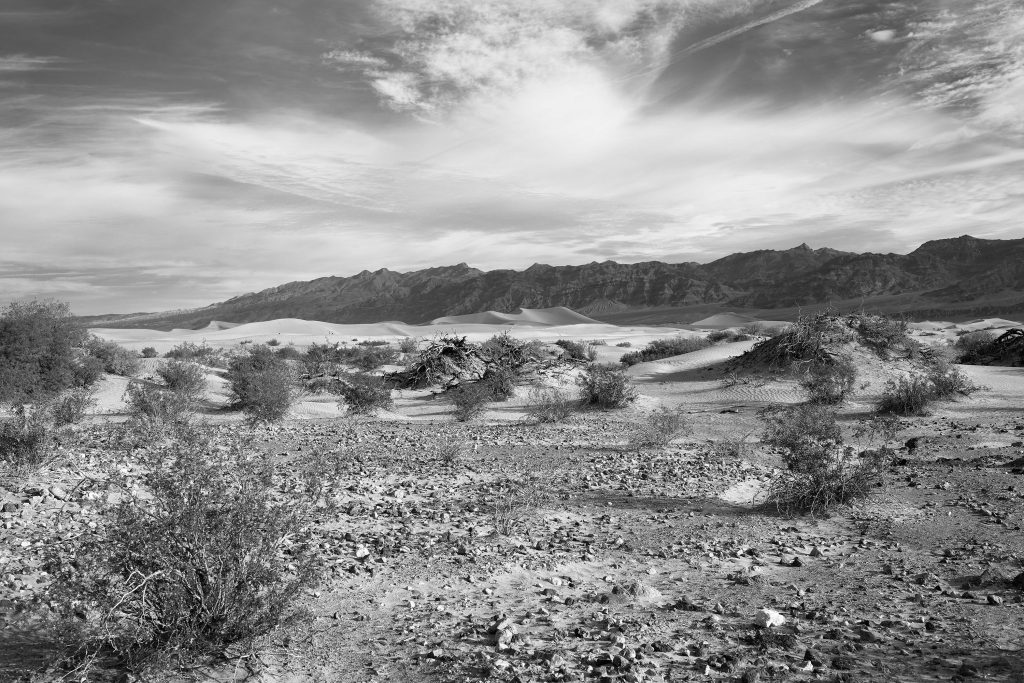 My-13, 60x90 cm, Digital Archival Pigment Print, 2015