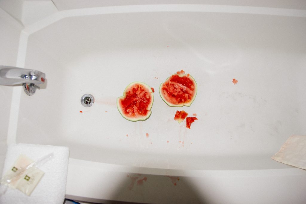 NL1831, 40x60cm, Archival Pigment Print, 2012