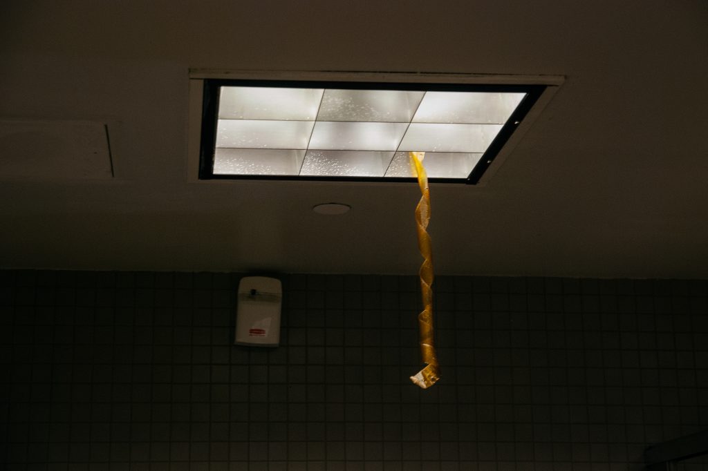 NL2561, 40x60cm, Archival Pigment Print, 2012