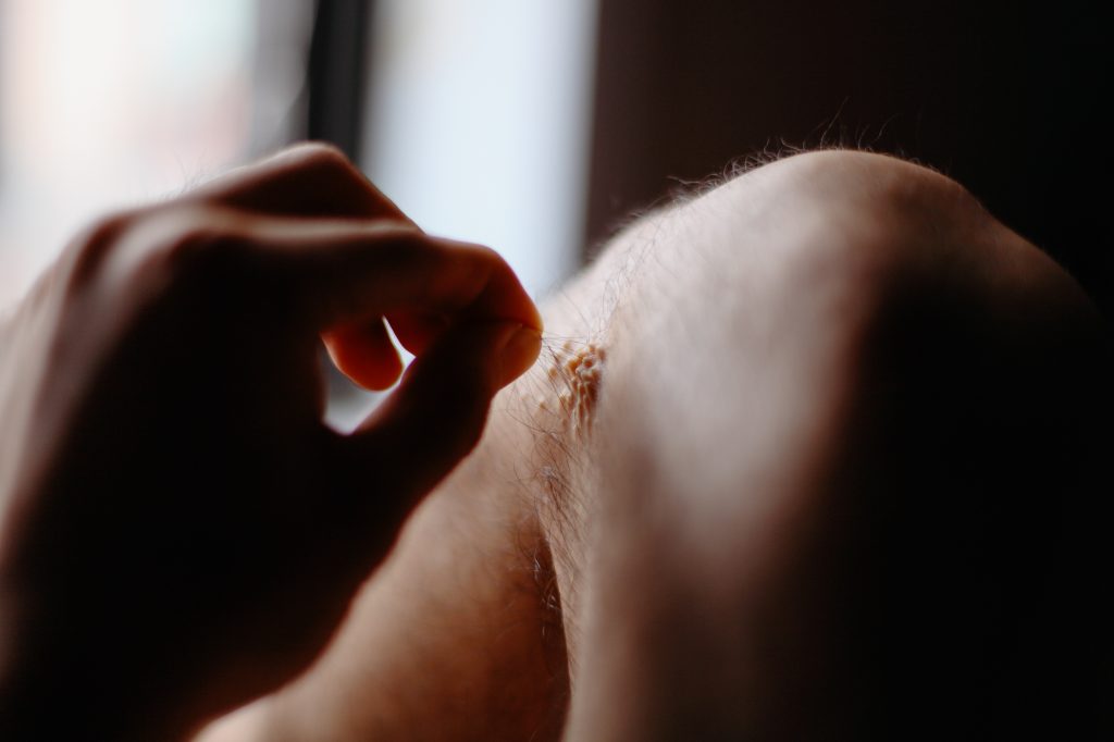 NL8048, 40x60cm, Archival Pigment Print, 2012