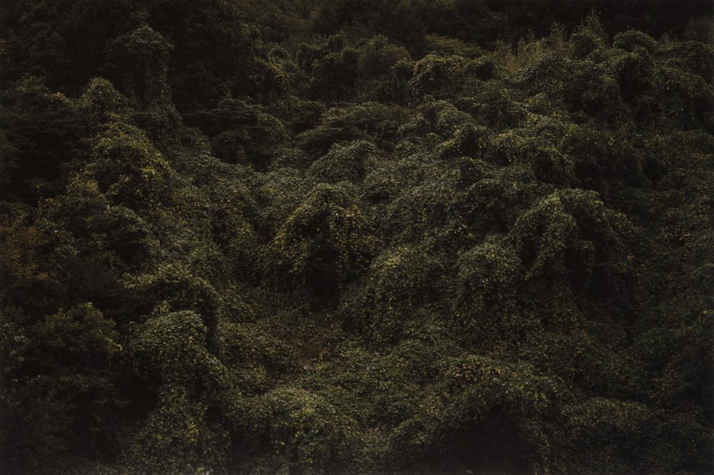 oss0816, 67x100, Pigmented Inkjet Print on Mulberry Paper, 2019