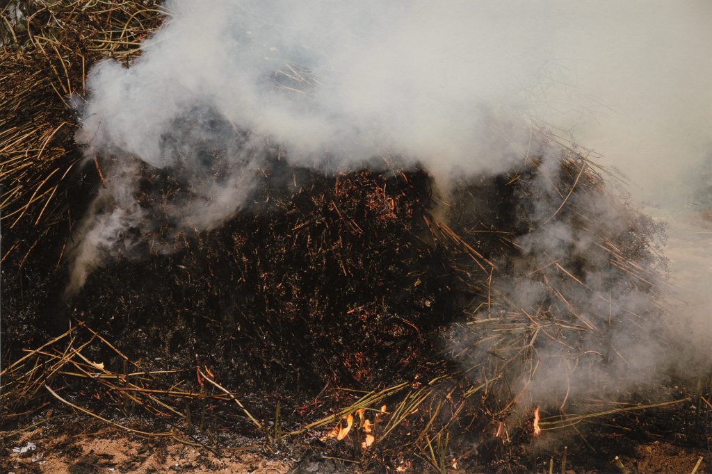 oss0946, 67x100, Pigmented Inkjet Print on Mulberry Paper, 2019