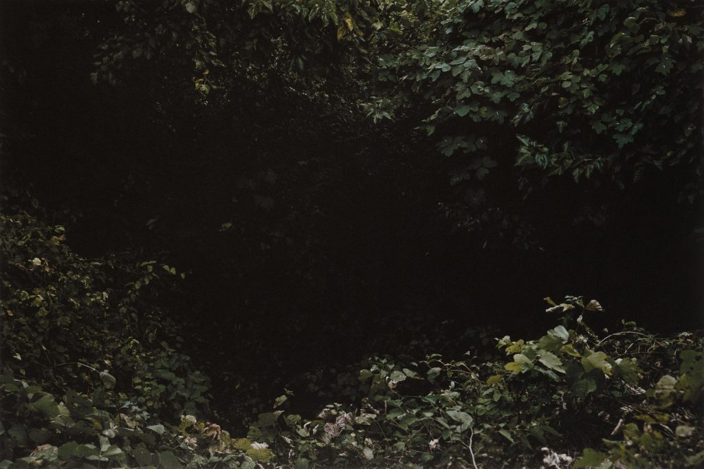 oss1103, 67x100, Pigmented Inkjet Print on Mulberry Paper, 2019