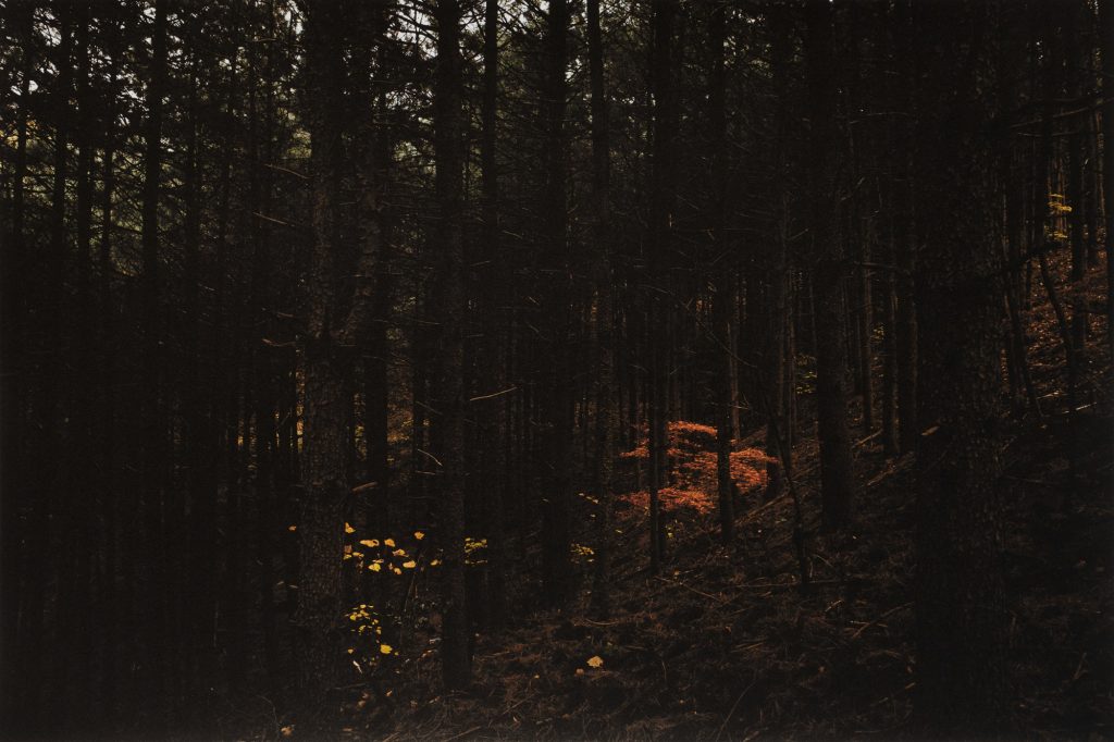 oss1691, 67x100, Pigmented Inkjet Print on Mulberry Paper, 2019