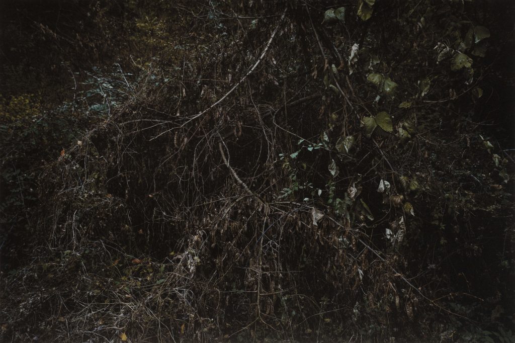 oss1855, 67x100, Pigmented Inkjet Print on Mulberry Paper, 2019