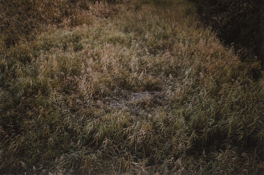 oss2214, 67x100, Pigmented Inkjet Print on Mulberry Paper, 2019