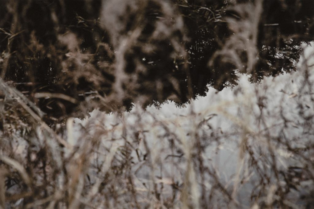 oss2395, 100x150, Pigmented Inkjet Print on Mulberry Paper, 2019