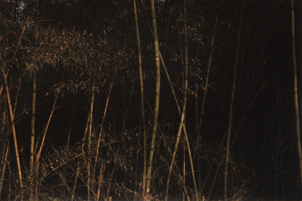 oss2922, 67x100, Pigmented Inkjet Print on Mulberry Paper, 2019