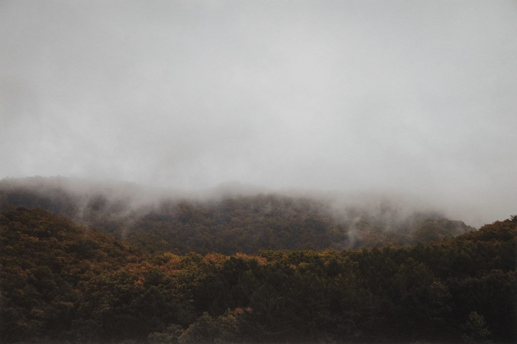 oss7946, 67x100, Pigmented Inkjet Print on Mulberry Paper, 2019