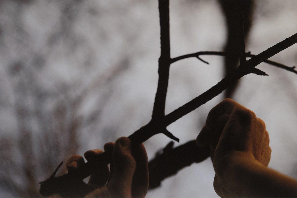 oss8243, 67x100, Pigmented Inkjet Print on Mulberry Paper, 2019