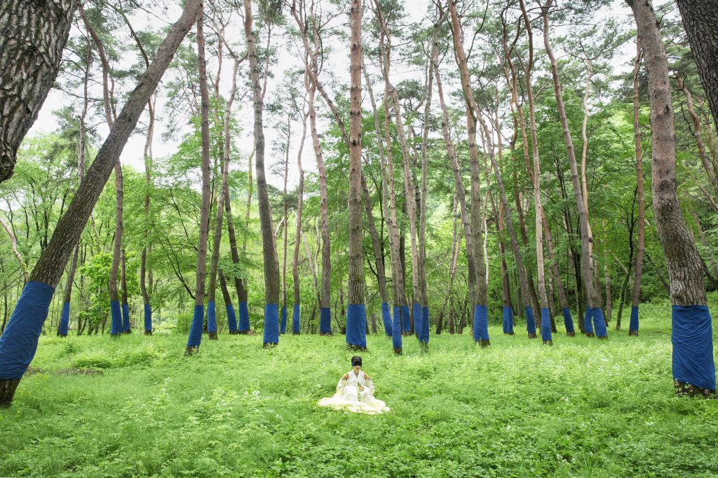 Colorful YeongWol_History, Hysteria #002 청령포 NAVY, 가변크기, Pigment-based Inkjet Print on Matte Paper, 2018