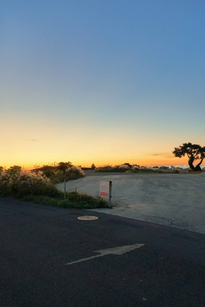 HANA, 80x54cm, Pigment Print, 2019