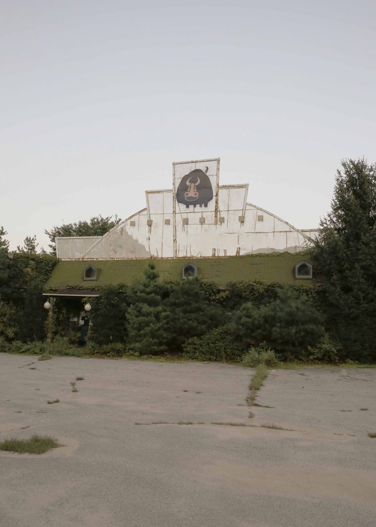 Pig, 80x54cm, Pigment Print, 2019