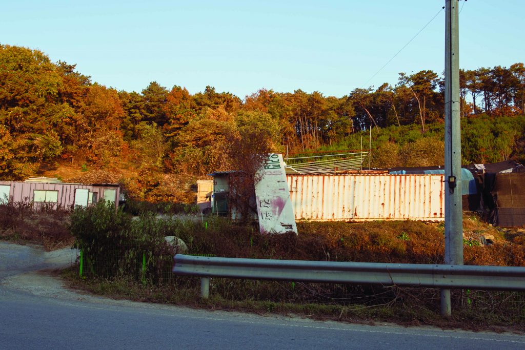 우리집 양, 80x120cm, Pigment Print, 2020