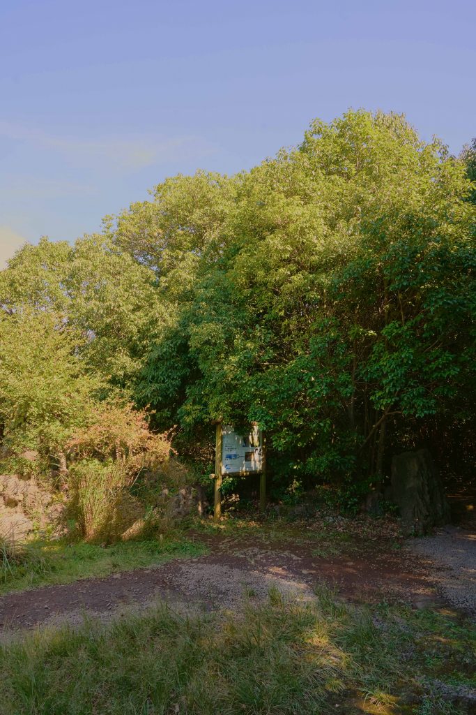 ㅇ 동, 80x54cm, Pigment Print, 2019