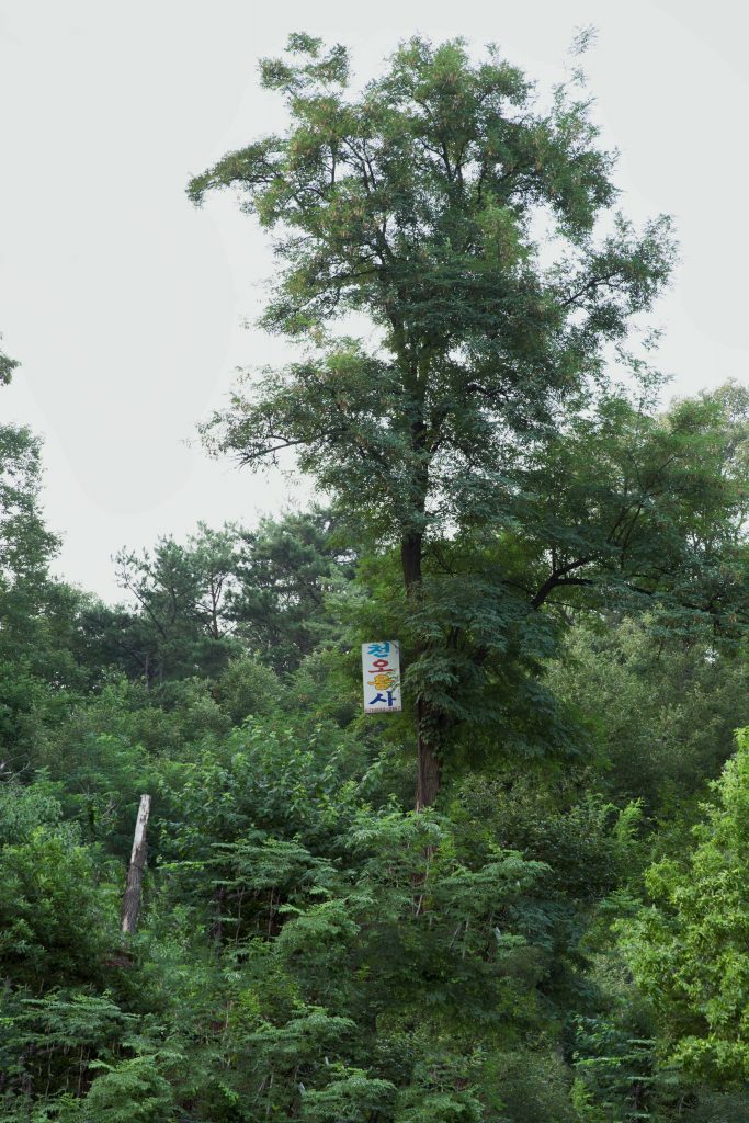 천오용사, 80x54cm, Pigment Print, 2019