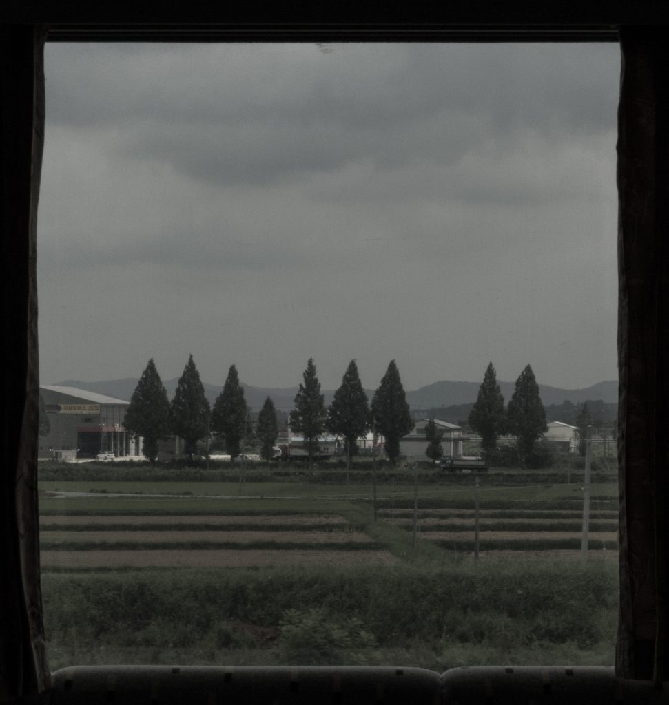 찰나 13, short image no.13, 2019