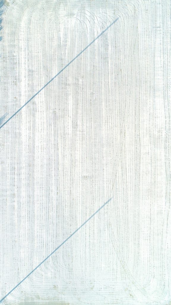 Salt pond_4_2020_56x99