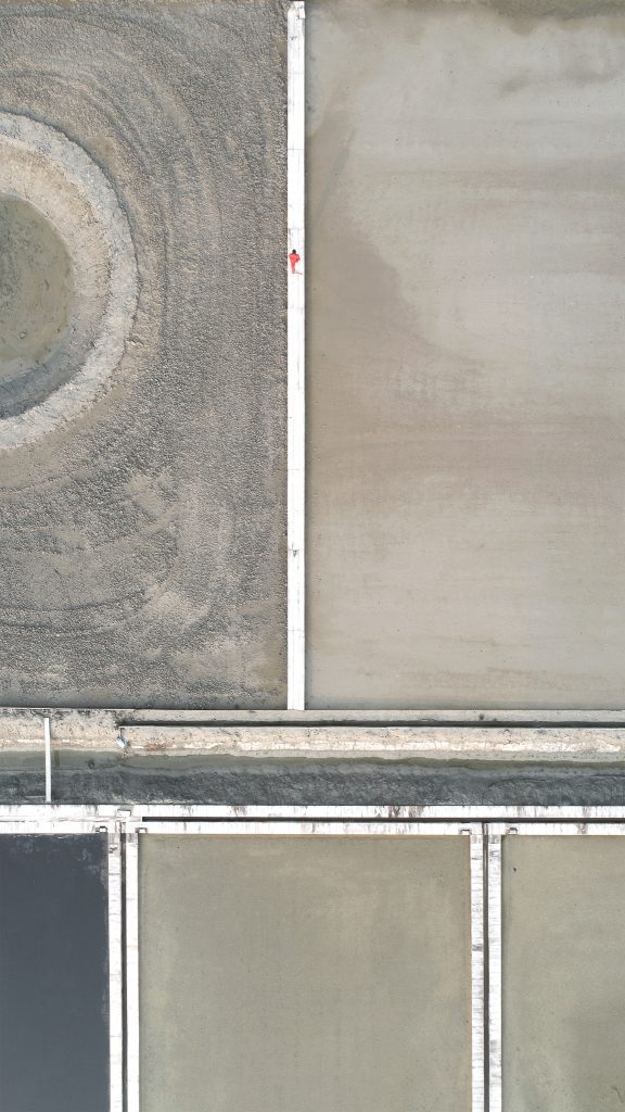 The Pale Red Dot_01_2019_56x99