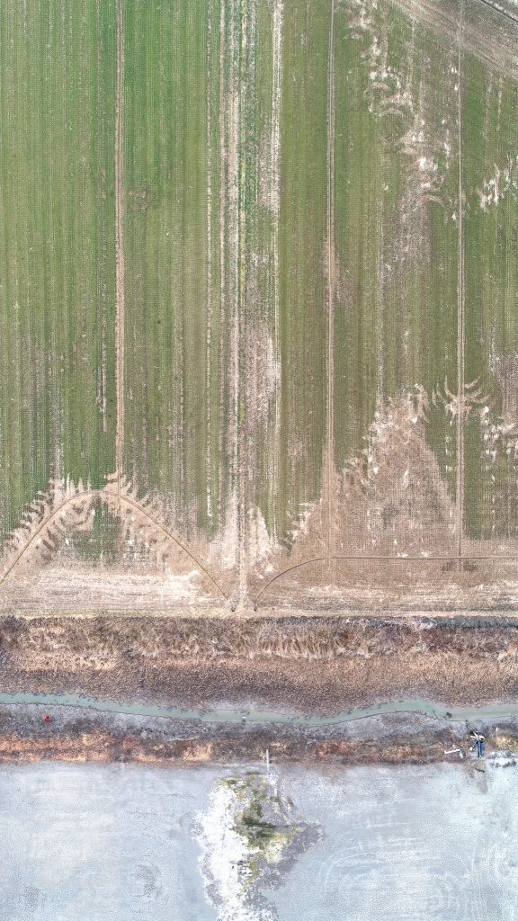 The Pale Red Dot_02_2020_73x130