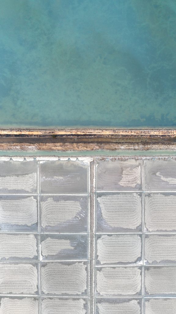 The Pale Red Dot_03_2019_110x195