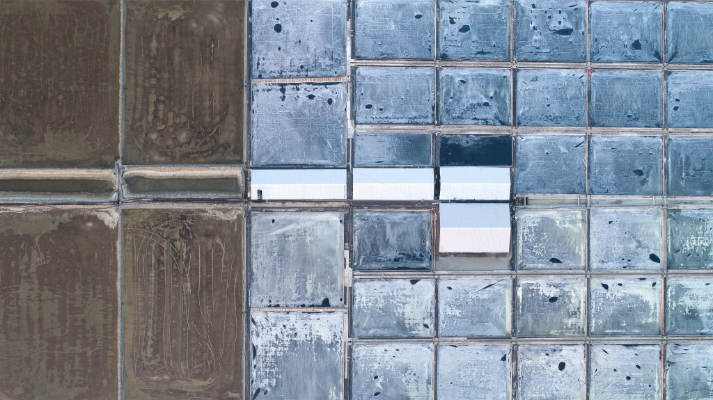 The Pale Red Dot_05_2018_110x195