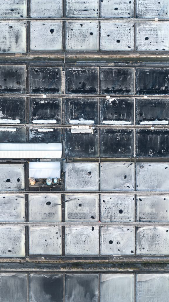 The Pale Red Dot_06_2018_110x195