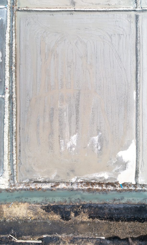 The Pale Red Dot_10_2019_110x195