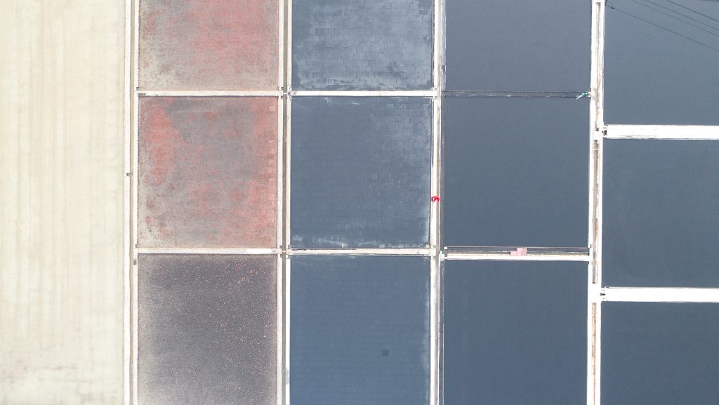 The Pale Red Dot_14_2018_84x150