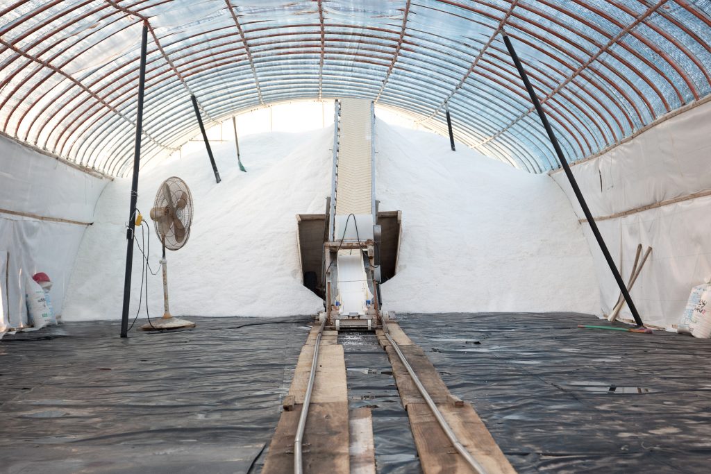 The Pale Red Dot_20_2018_73x110