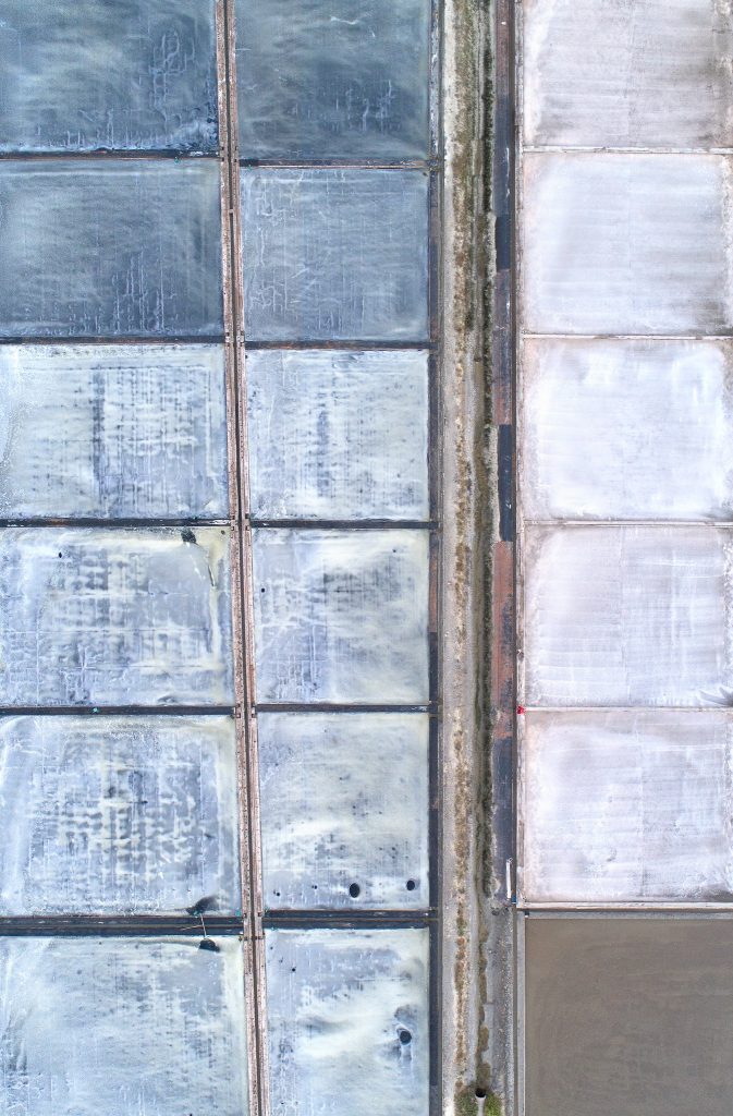 The Pale Red Dot_09_2018_110x168