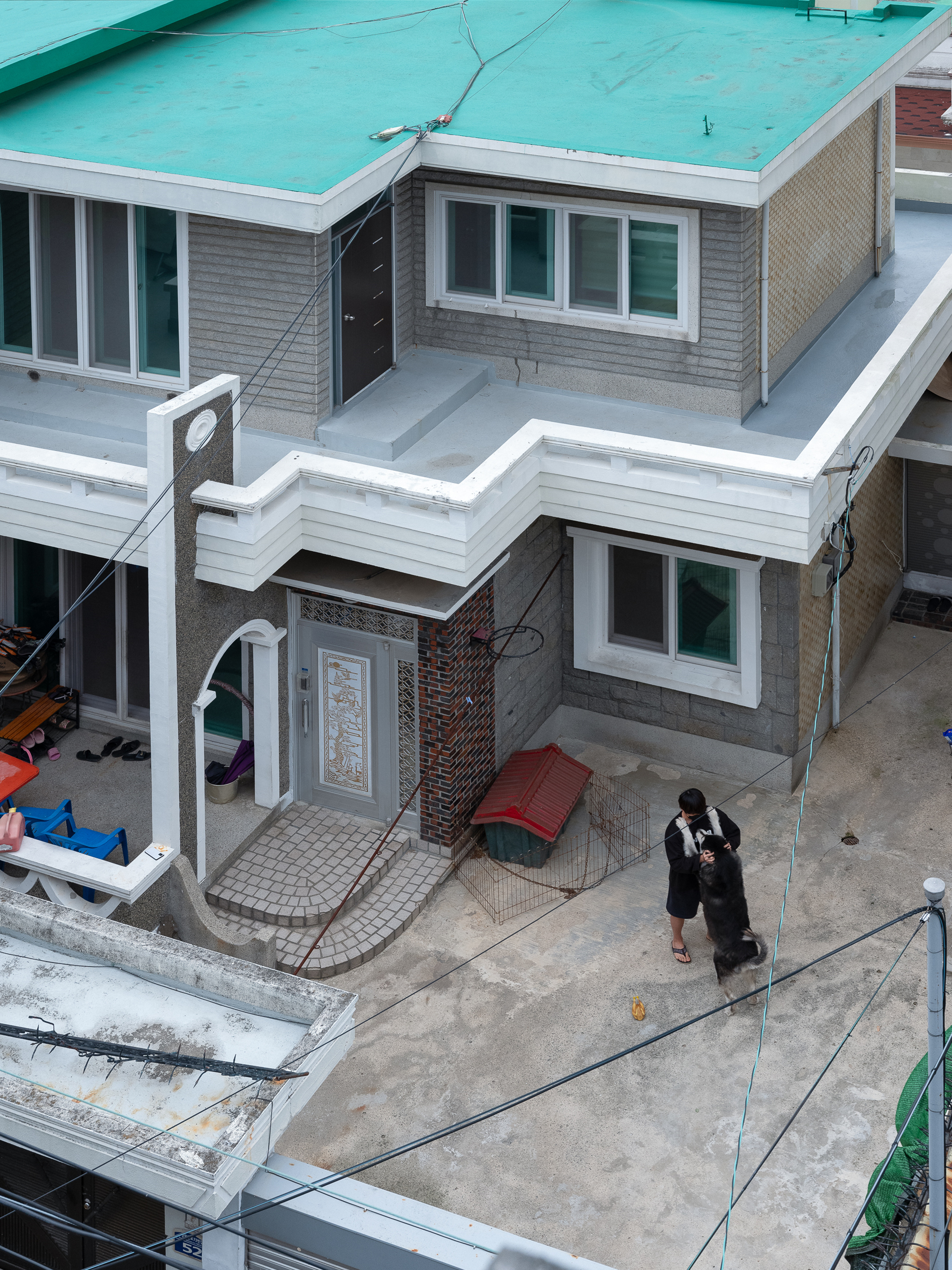 mh_애완견을 돌보는 사람_2020