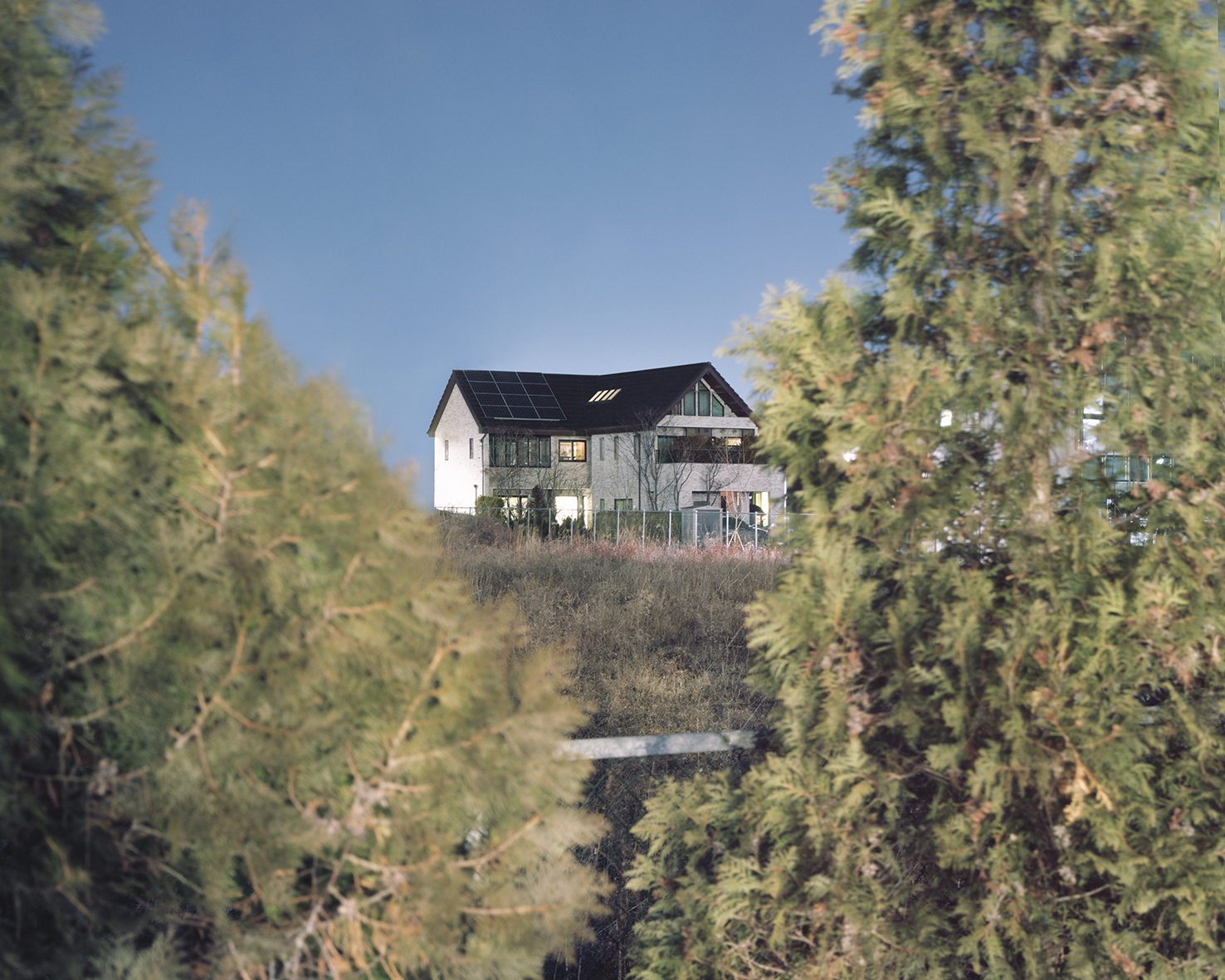 oz_5, 2021, Pigment Print