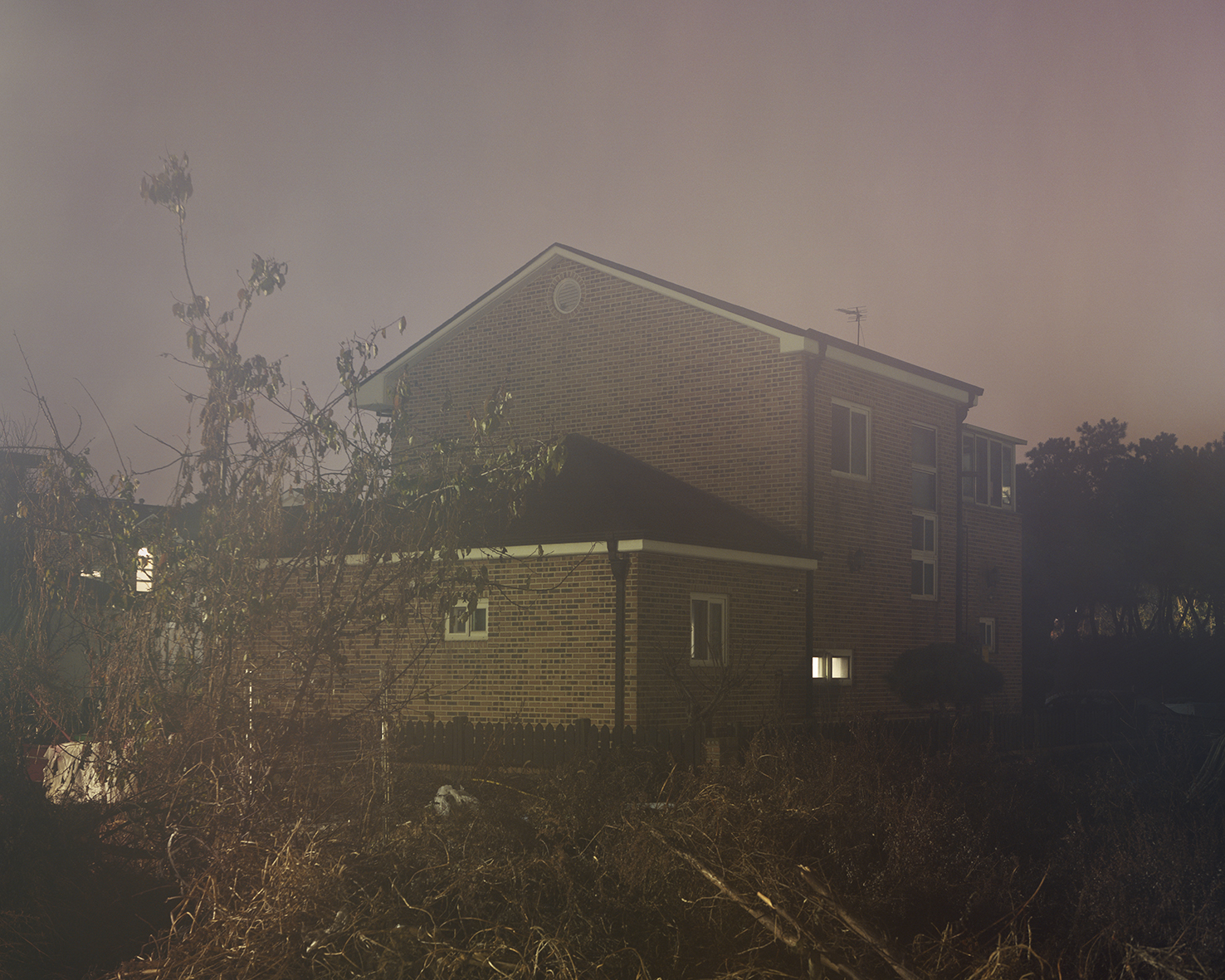 oz_11, 2021, Pigment Print