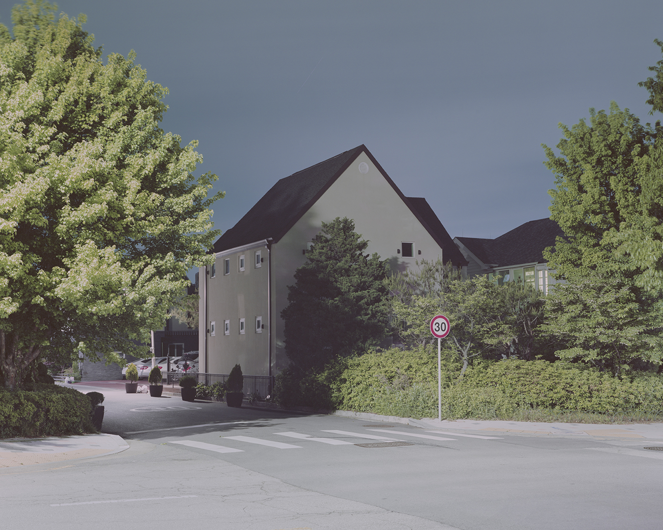 oz_14, 2021, Pigment Print