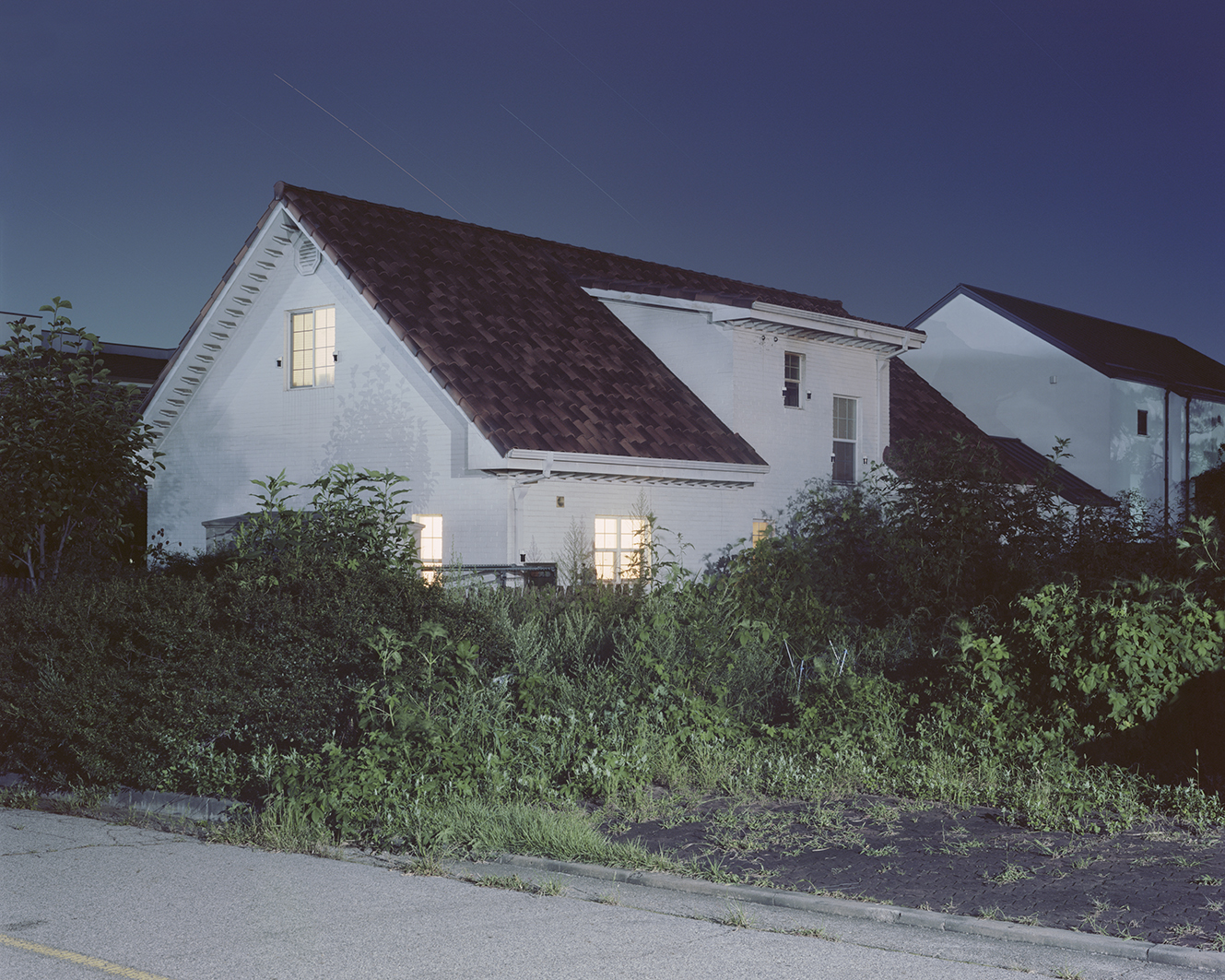 oz_15, 2020, Pigment Print